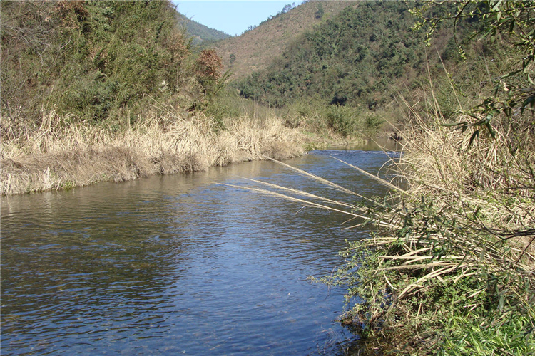 好山好水出好纸——泾县八大胜厂生产水源乌溪河近景