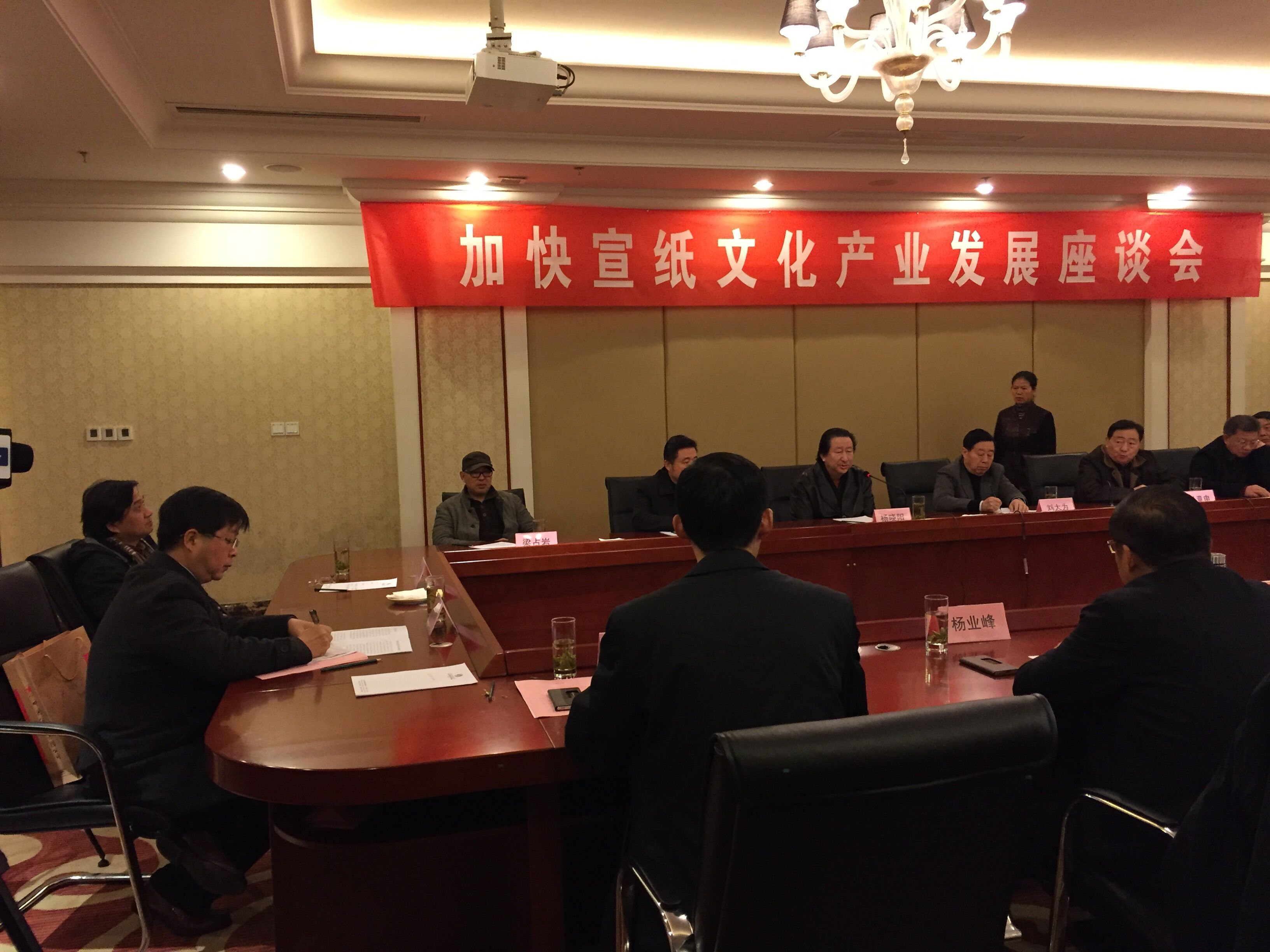 加快八大胜文化产业发展座谈会在泾县召开