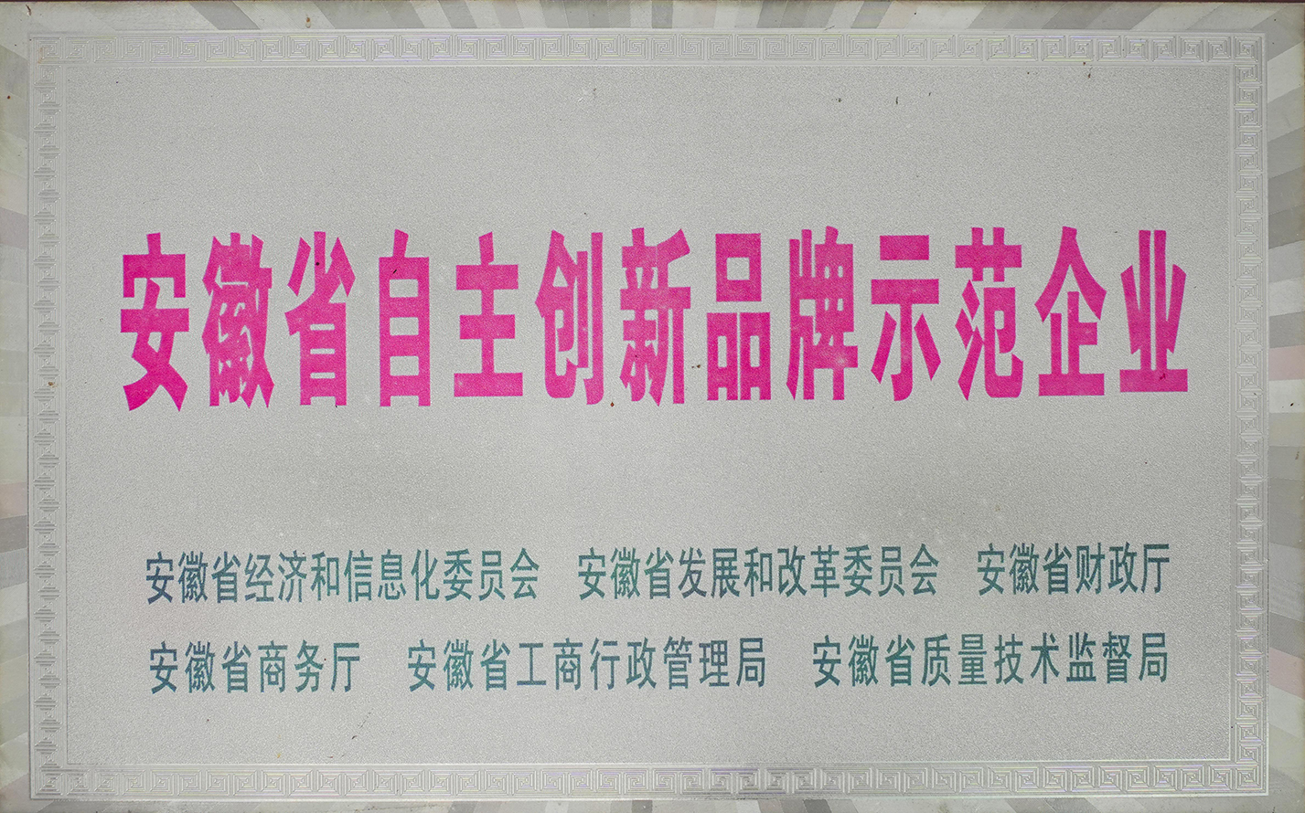 安徽省自主创新品牌示范企业